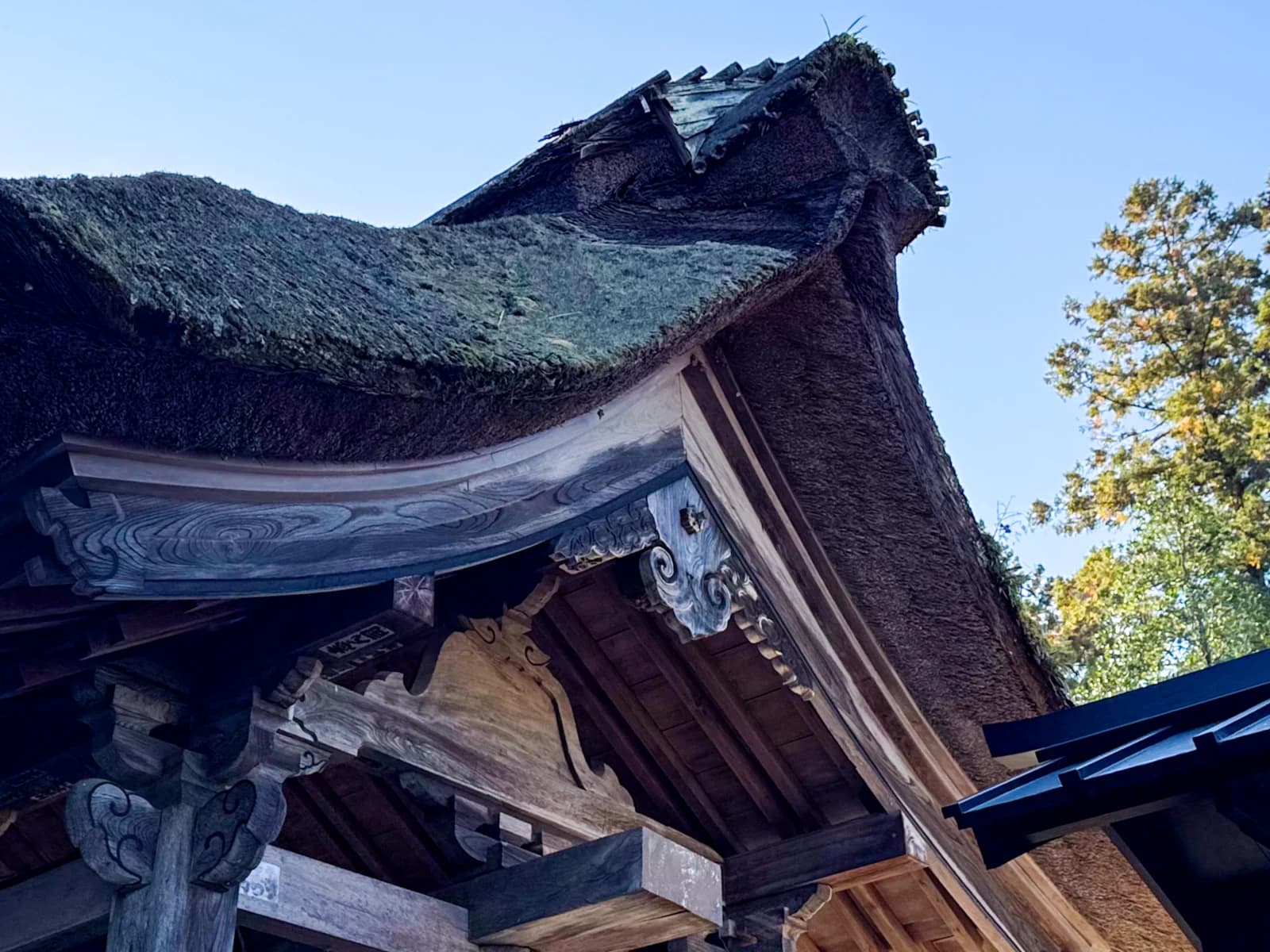 Kotokuji Temple | 廣徳寺 photo 36