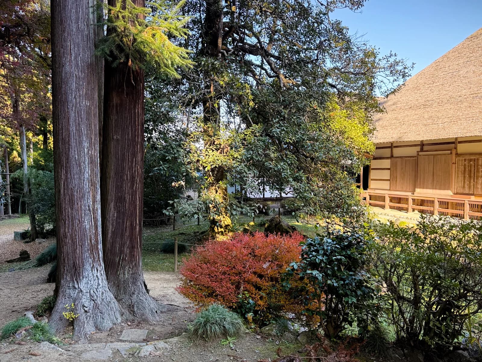 Kotokuji Temple | 廣徳寺 photo 34