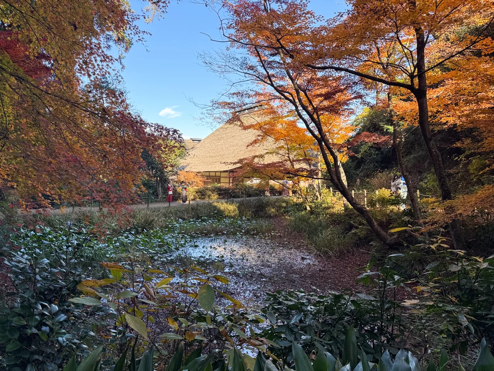 Kotokuji Temple | 廣徳寺 photo 30