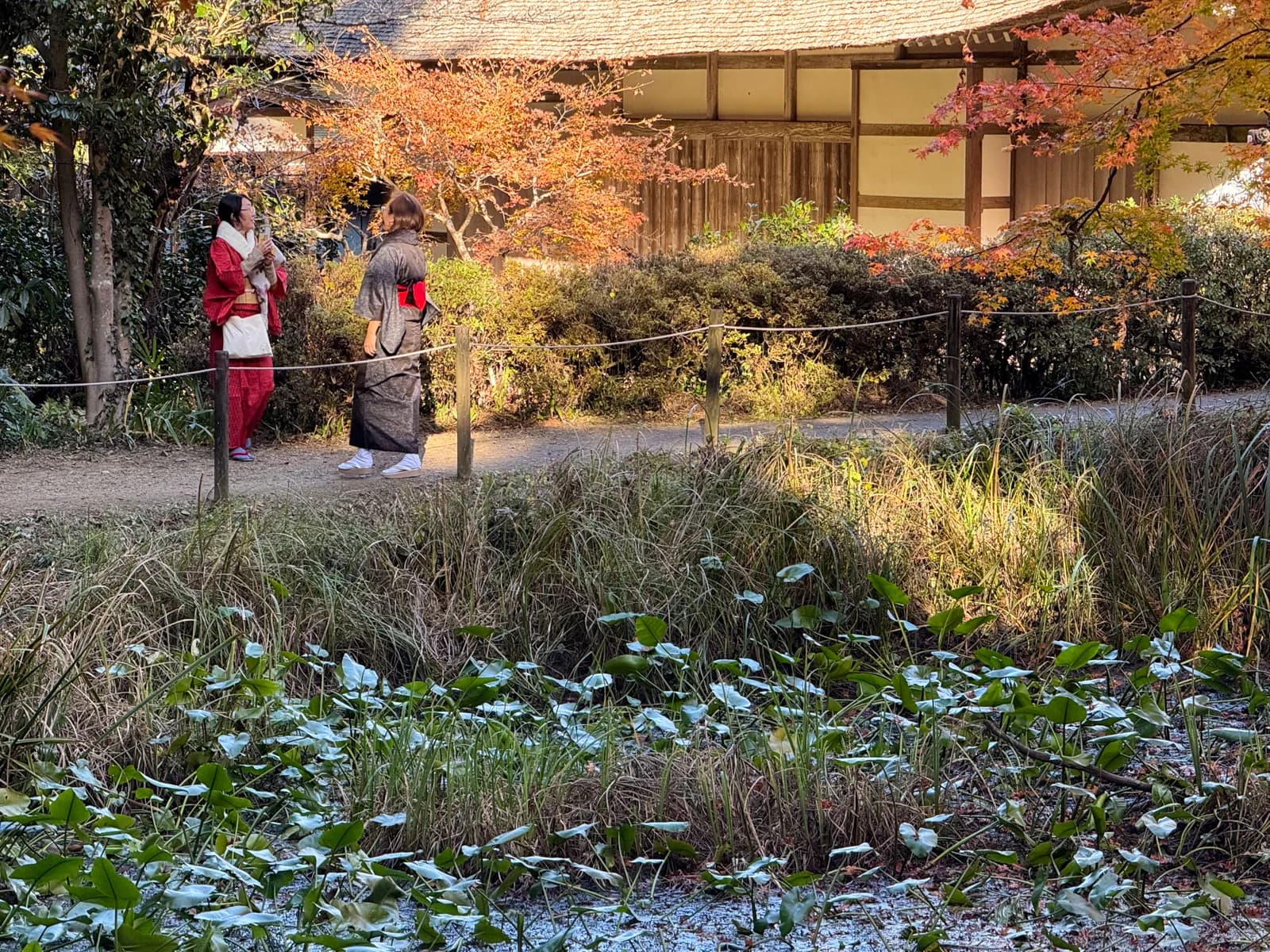 Kotokuji Temple | 廣徳寺 photo 29