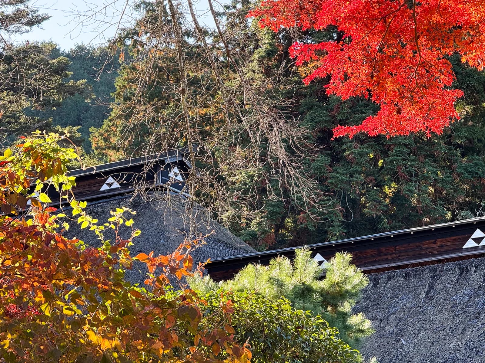 Kotokuji Temple | 廣徳寺 photo 27