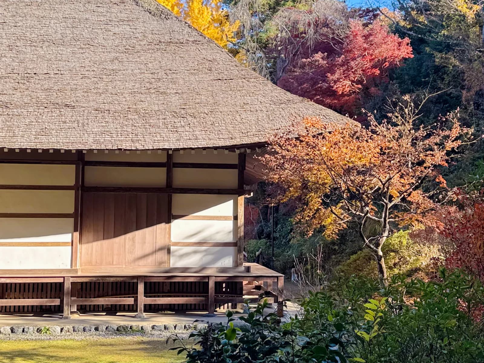 Kotokuji Temple | 廣徳寺 photo 26