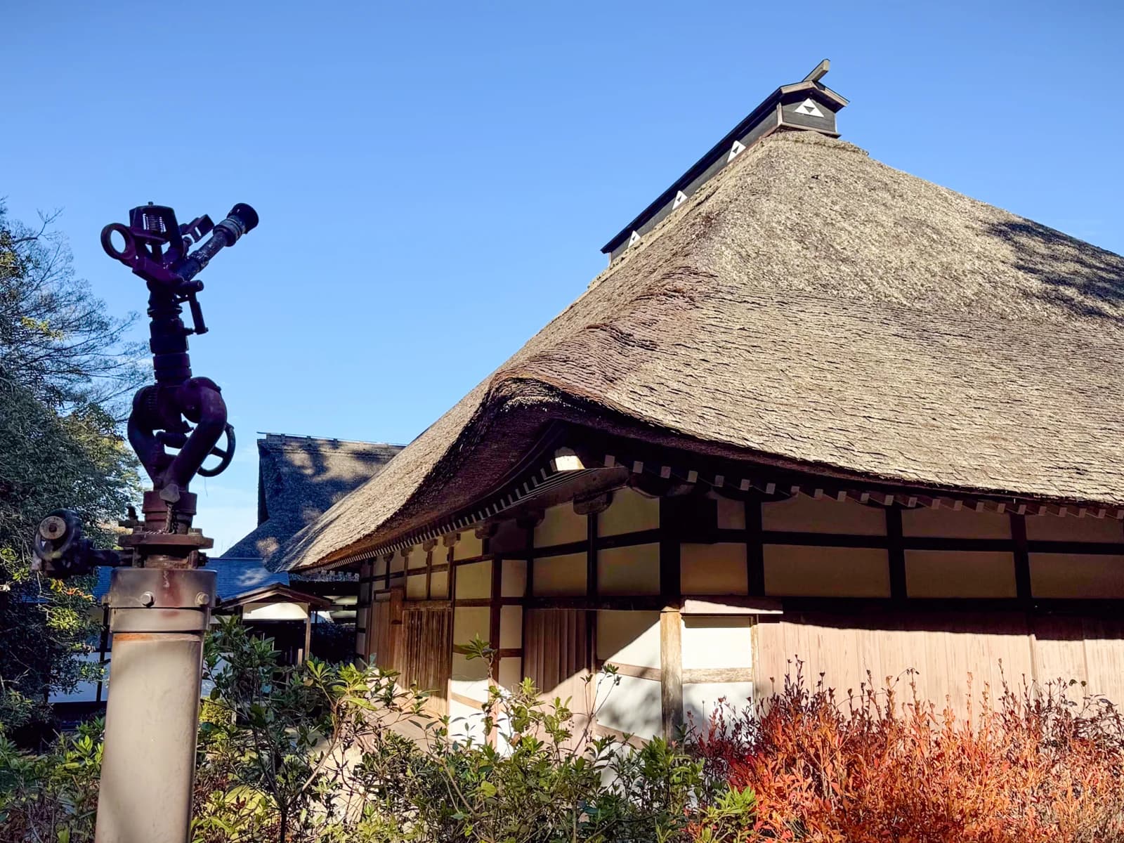 Kotokuji Temple | 廣徳寺 photo 23