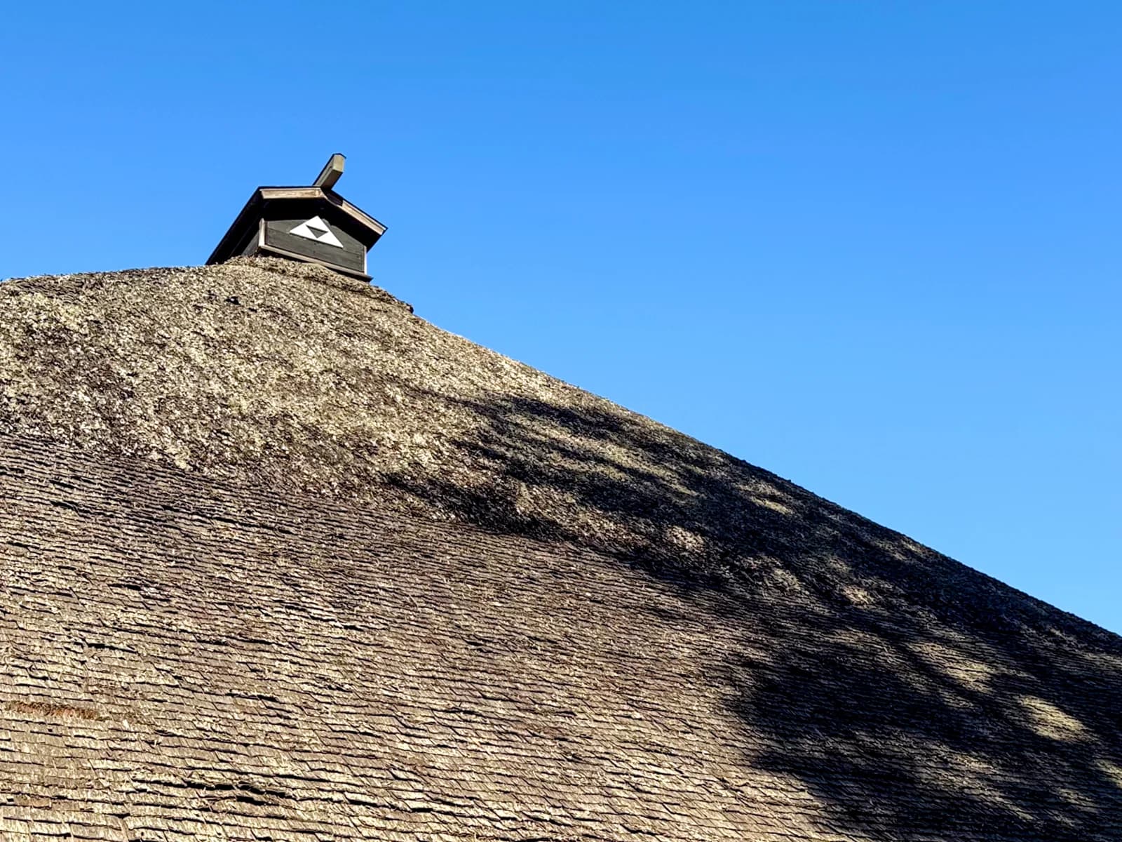 Kotokuji Temple | 廣徳寺 photo 22