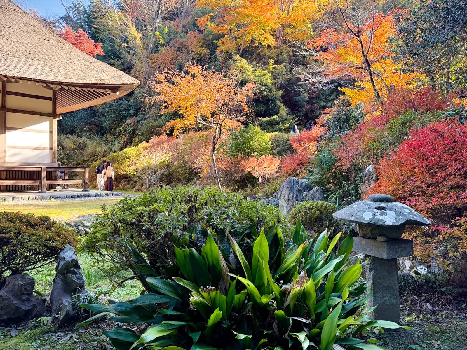 Kotokuji Temple | 廣徳寺 photo 21