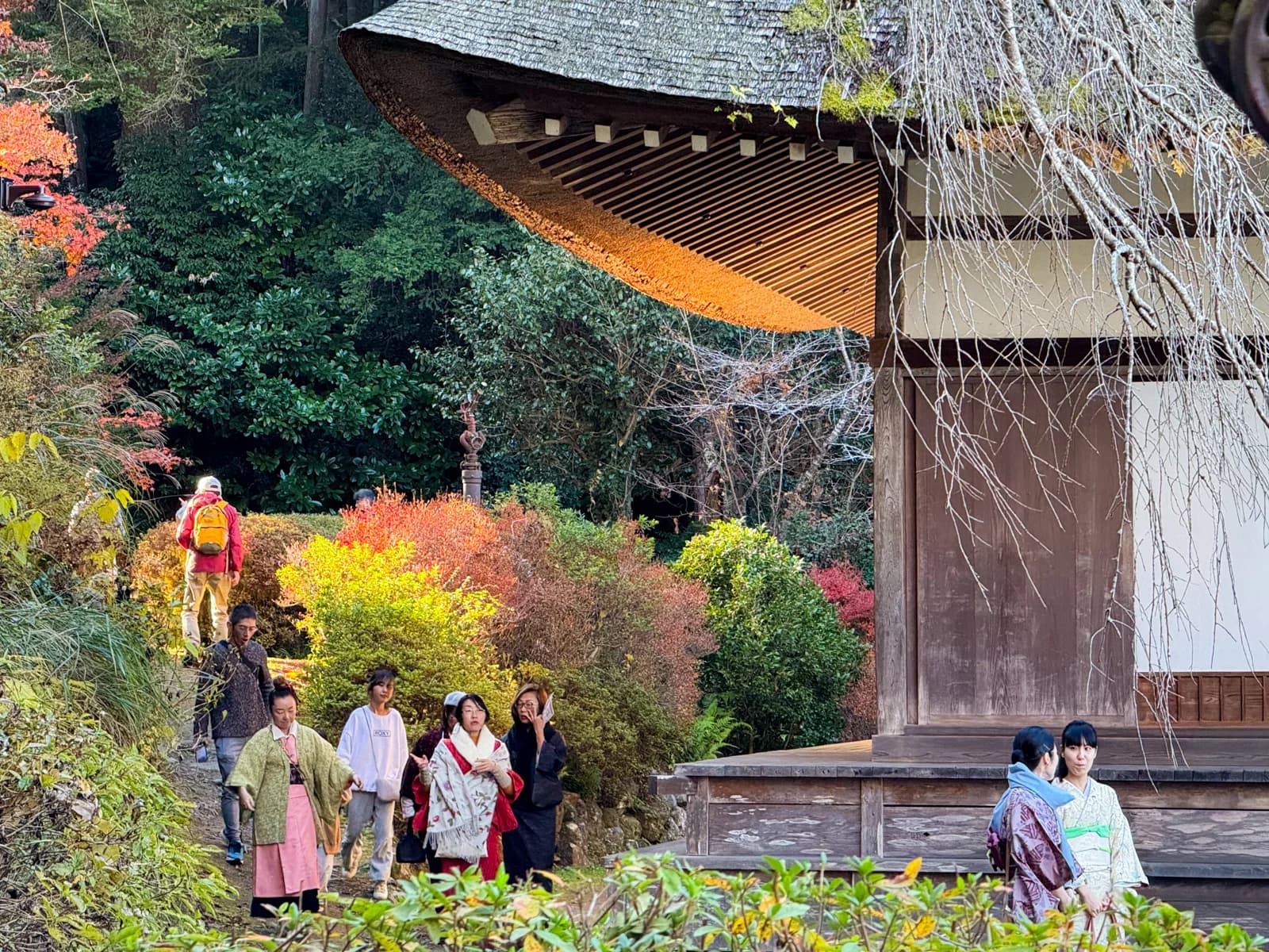 Kotokuji Temple | 廣徳寺 photo 18