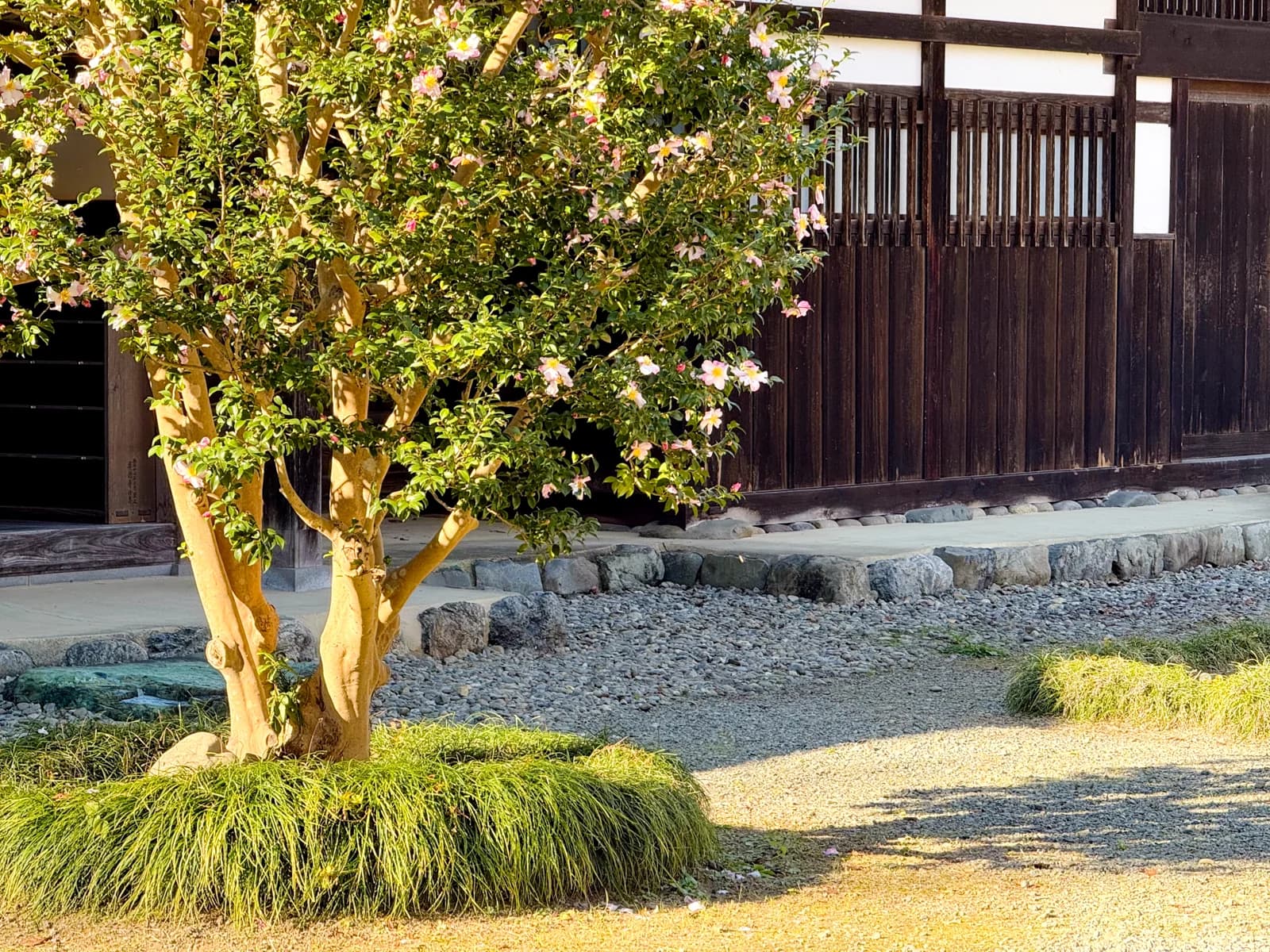 Kotokuji Temple | 廣徳寺 photo 14