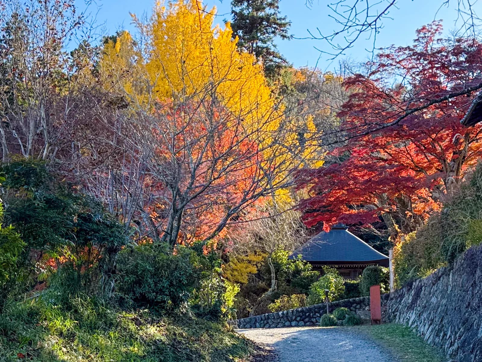 Kotokuji Temple | 廣徳寺 photo 13