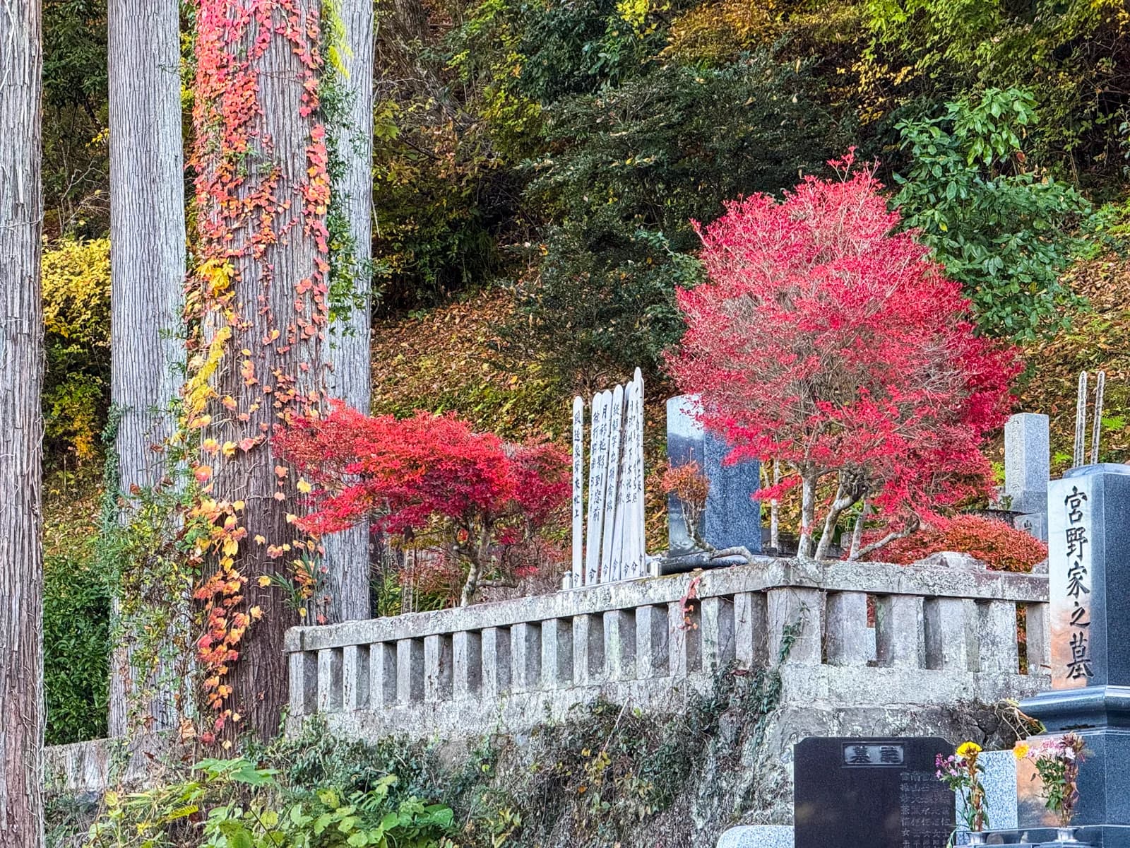 Kotokuji Temple | 廣徳寺 photo 12