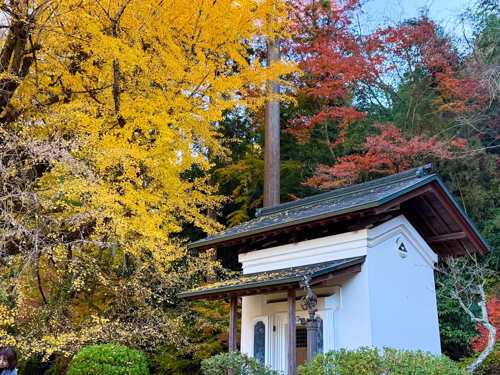 Kotokuji Temple | 廣徳寺 photo 10