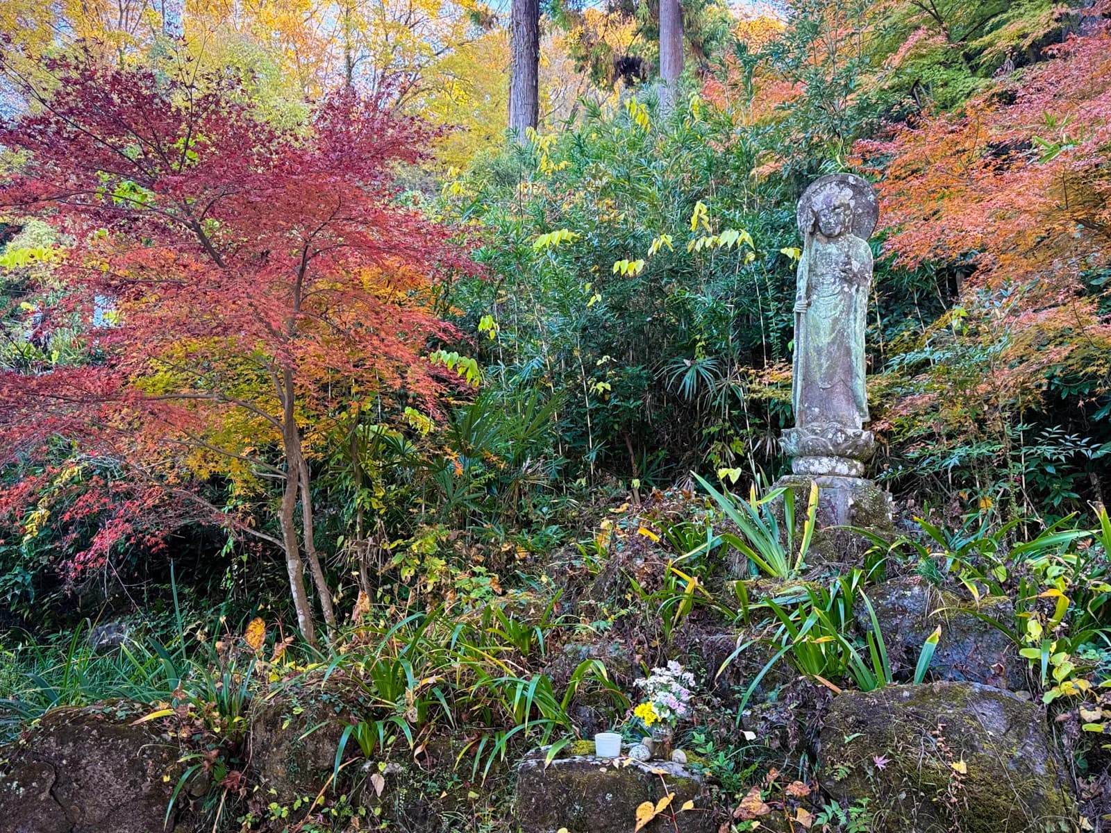 Kotokuji Temple | 廣徳寺 photo 7