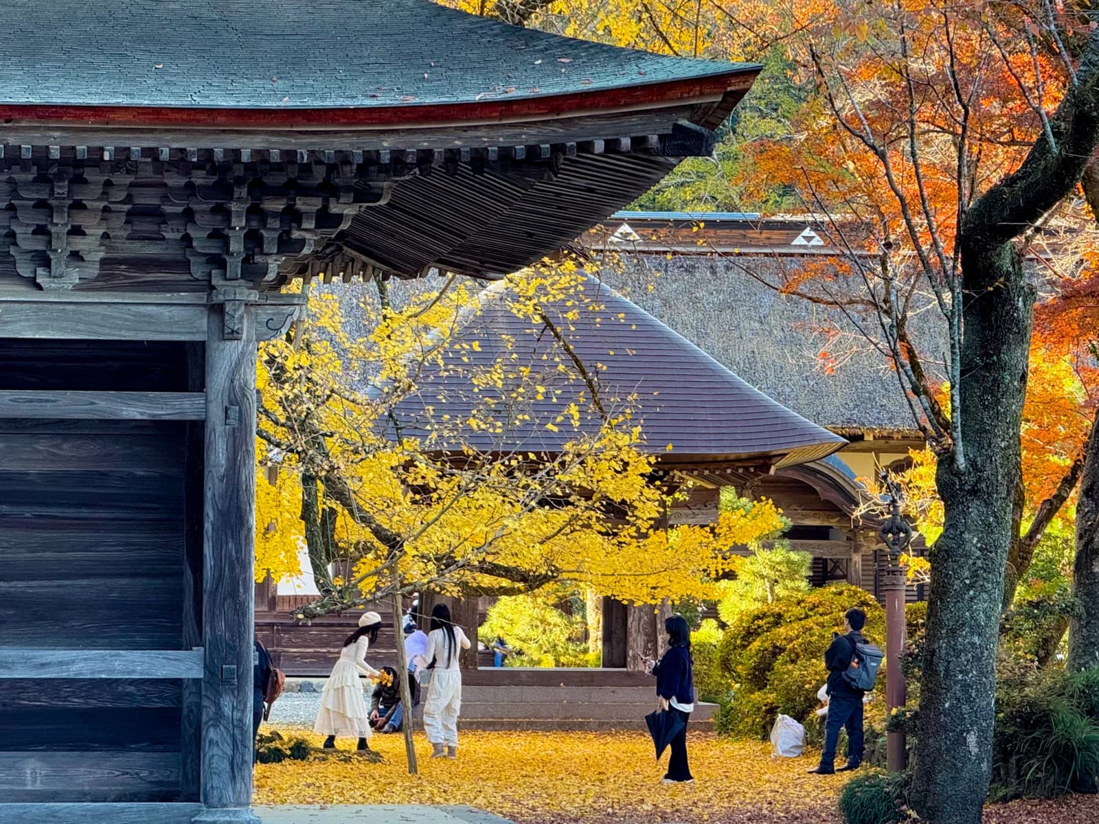 Kotokuji Temple | 廣徳寺 photo 4