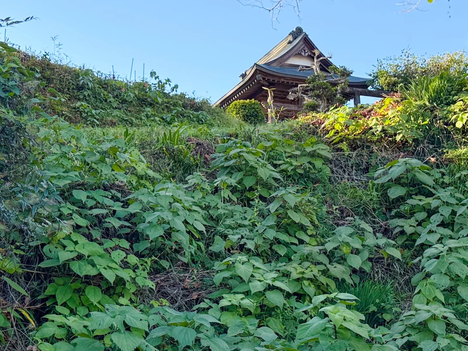 Kotokuji Temple | 廣徳寺 photo 2