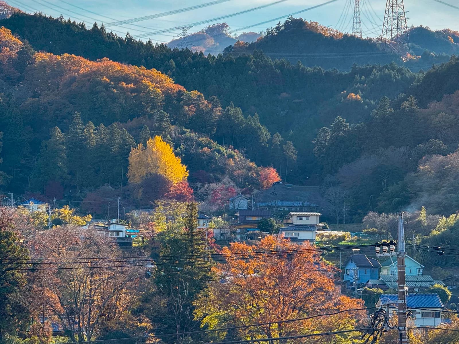 Kotokuji Temple | 廣徳寺 photo 1