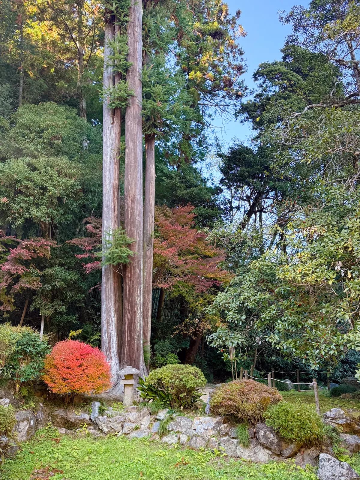 Kotokuji Temple | 廣徳寺 photo 32