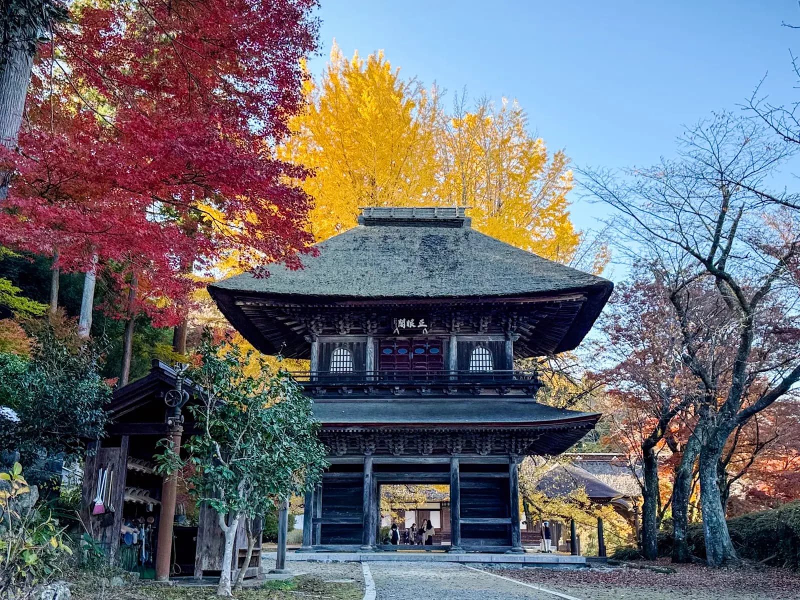 [Photos] Autumn Colors at Kotokuji Temple