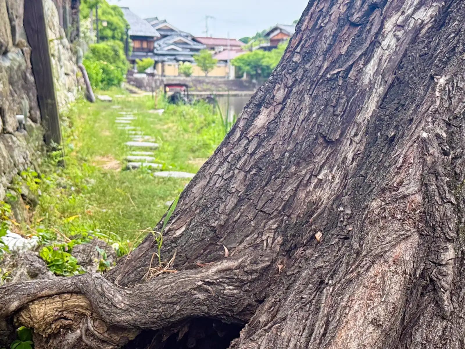Omihachiman | 近江八幡 photo 16