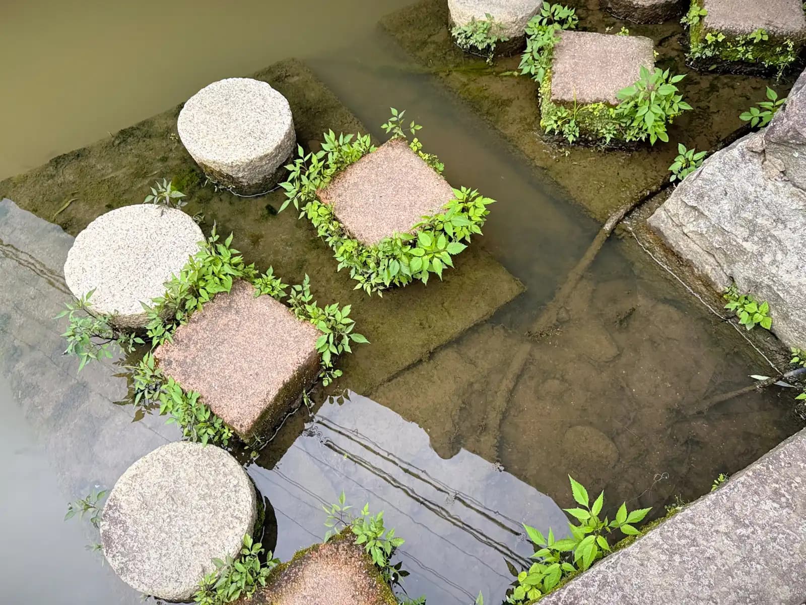 Omihachiman | 近江八幡 photo 15