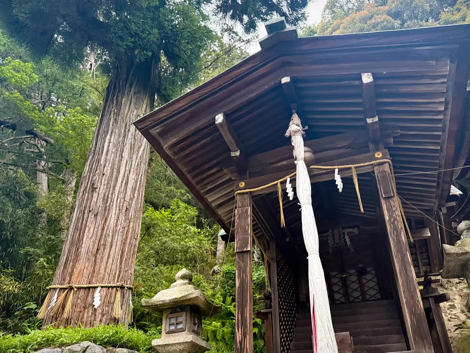 Omihachiman | 近江八幡 photo 10