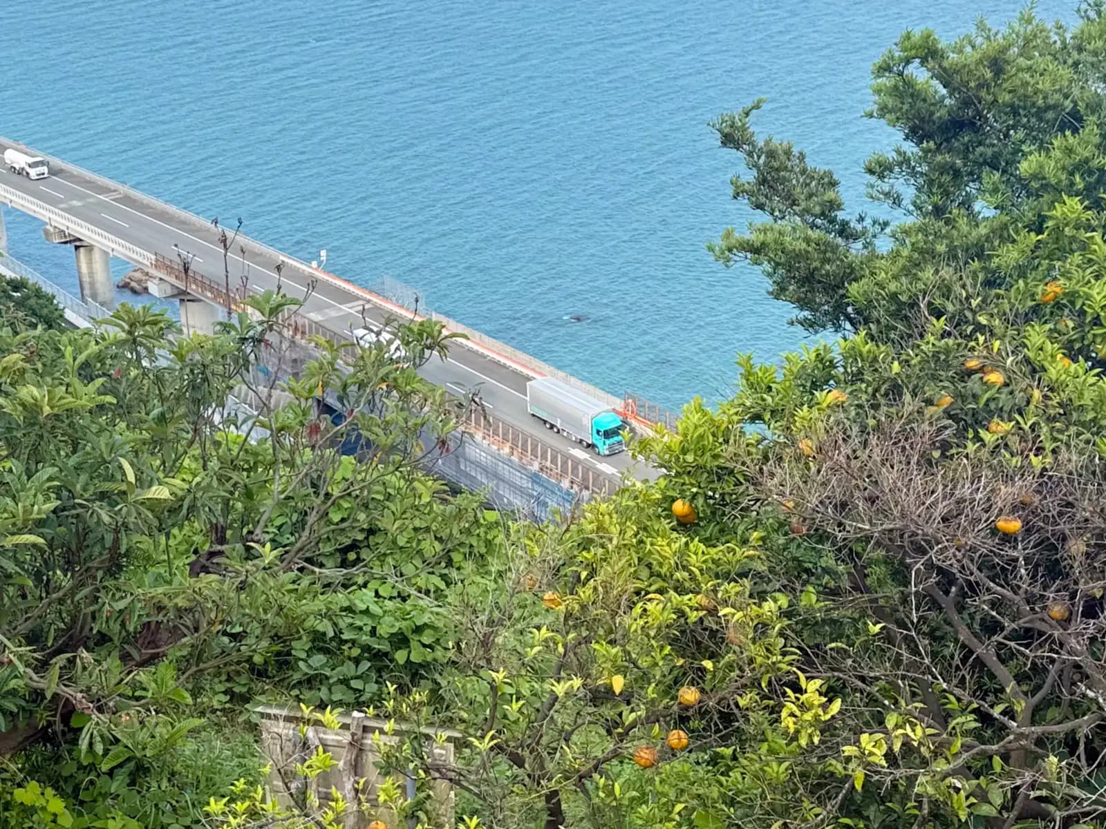 Looking down through the citrus at the roads built out over the water, with a truck going past.