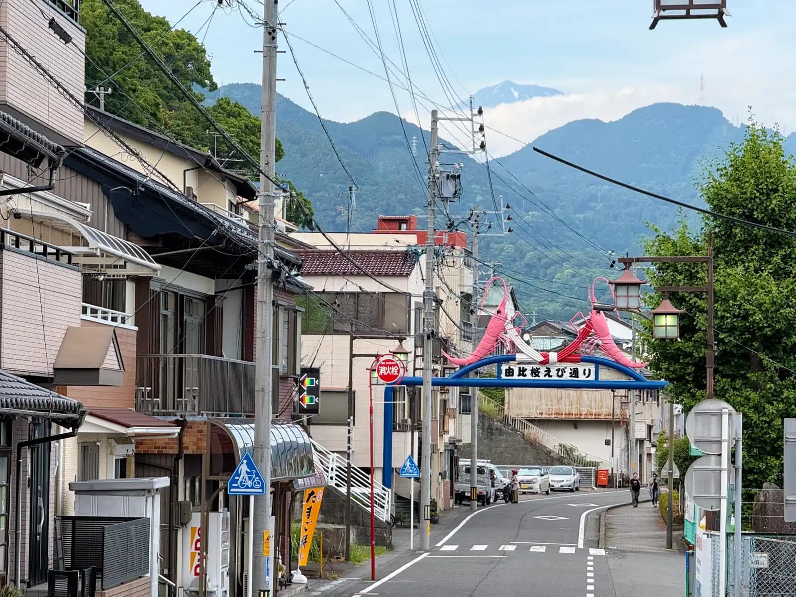 Down in Yui, the gate over Sakura-ebi Street. All of Japan's sakura shrimp comes from Suruga Bay, and the spring season was just about over.