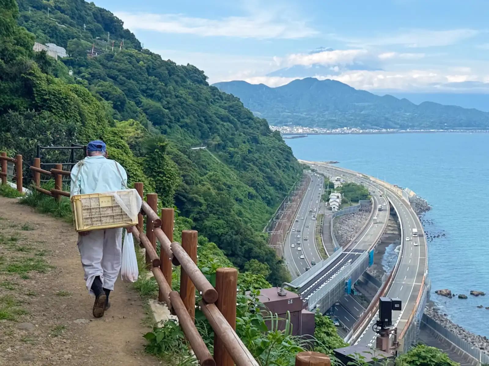 A farmer heading back along the path with a crate. The old Tokaido is still the way to the orchards here.