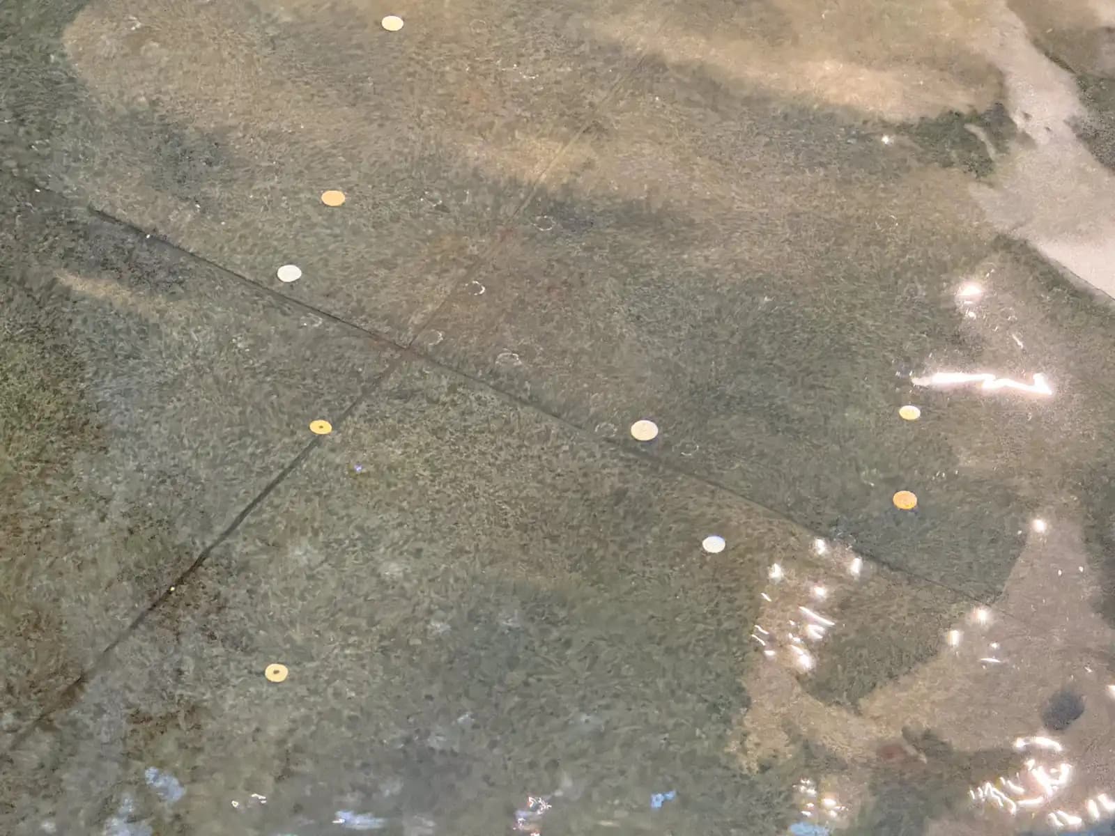 Coins that people have tossed into the shallow water channel in front of the station.