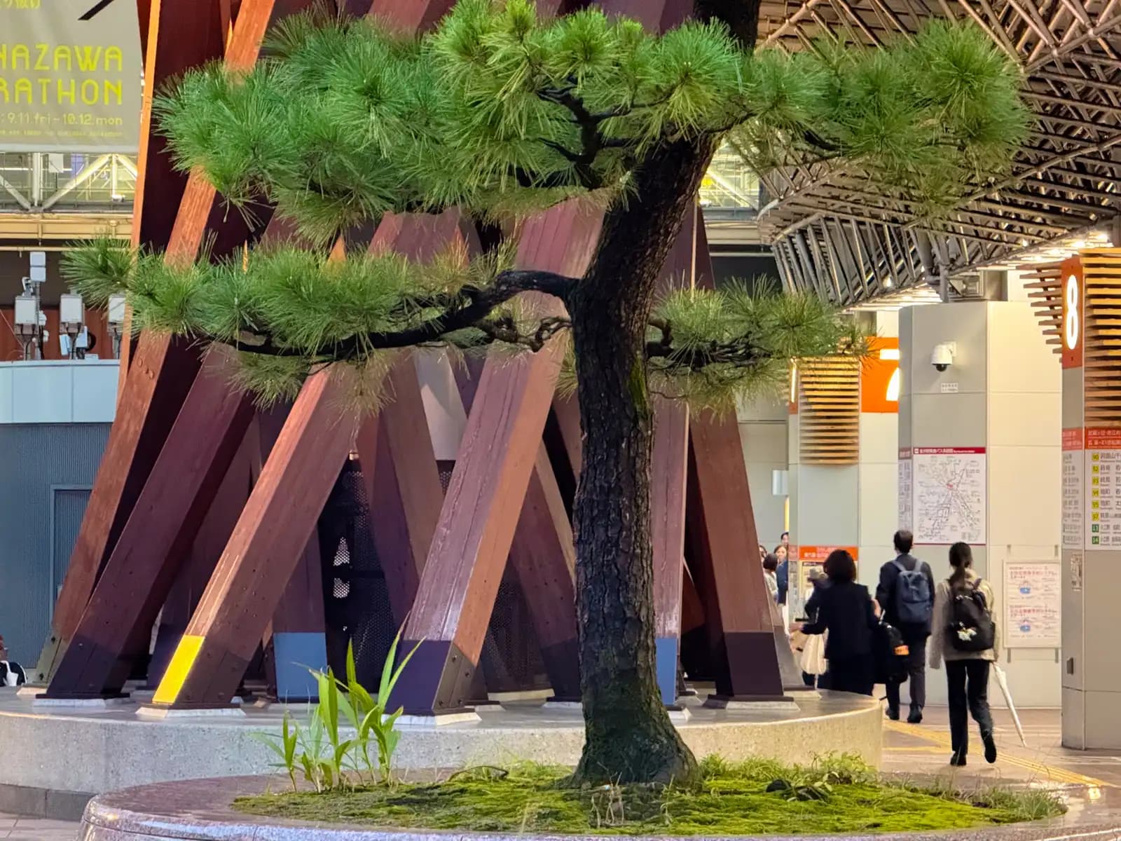 A pine tree growing in a round planter of moss in front of the base of the Tsuzumi Gate. The stop 8 bus sign is on the right.