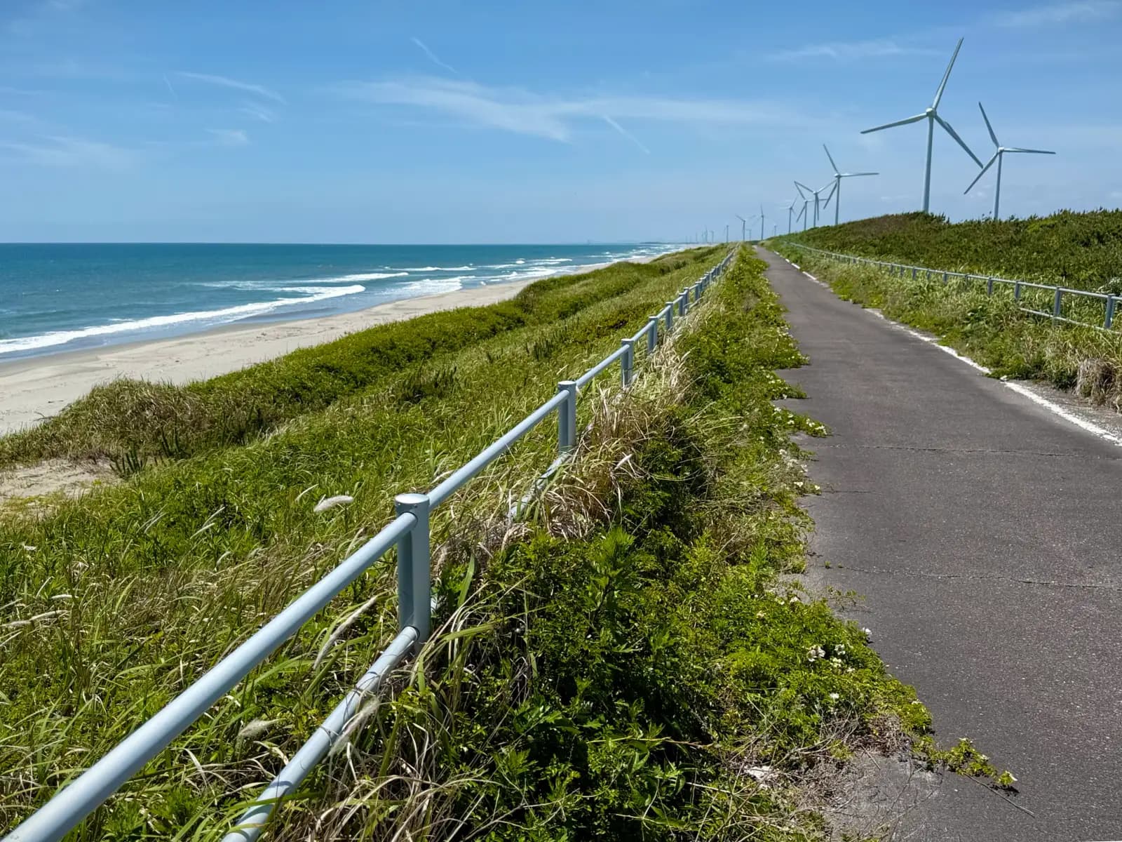 Tokyo to Kyoto by E-Bike, Day 3: Shizuoka to Toyohashi, the Long Ride Down the Pacific Coast