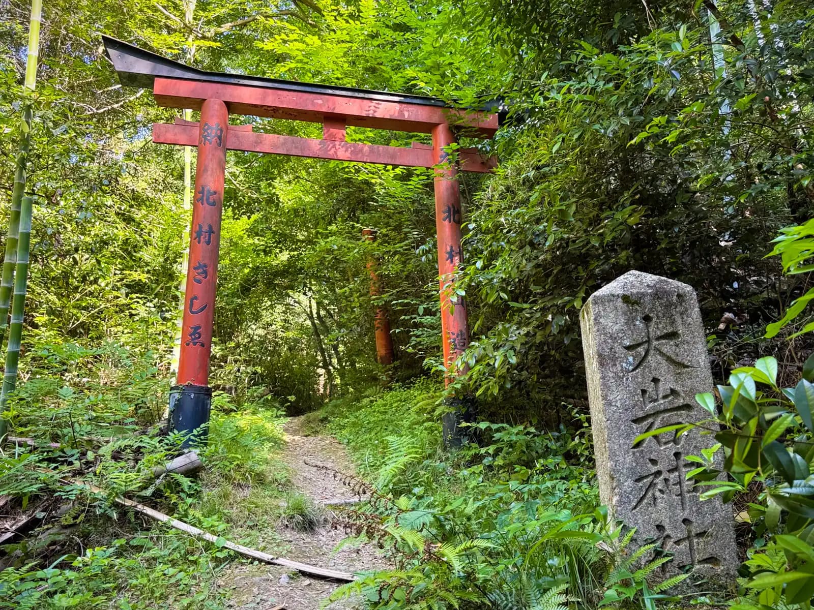 Oiwa Shrine | 大岩神社 photo 84