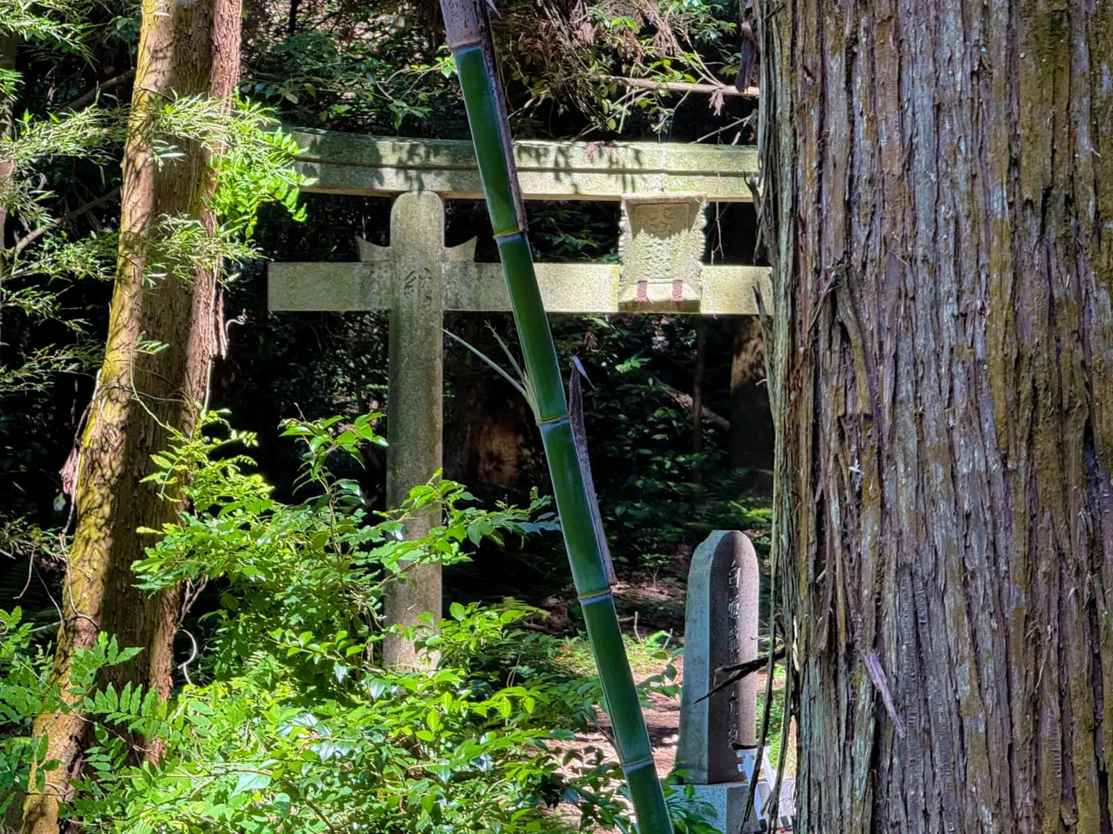 Oiwa Shrine | 大岩神社 photo 82