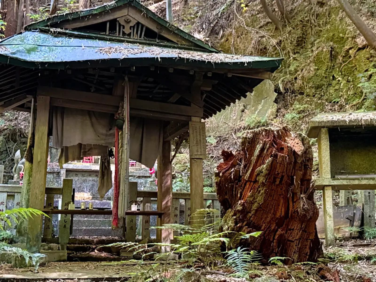 Oiwa Shrine | 大岩神社 photo 77