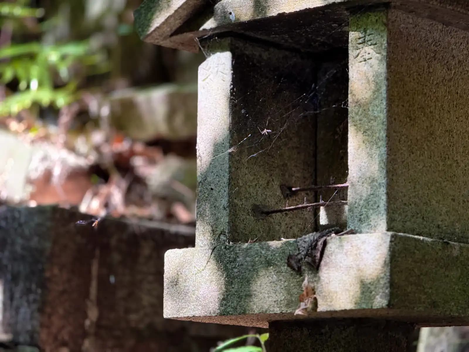 Oiwa Shrine | 大岩神社 photo 69