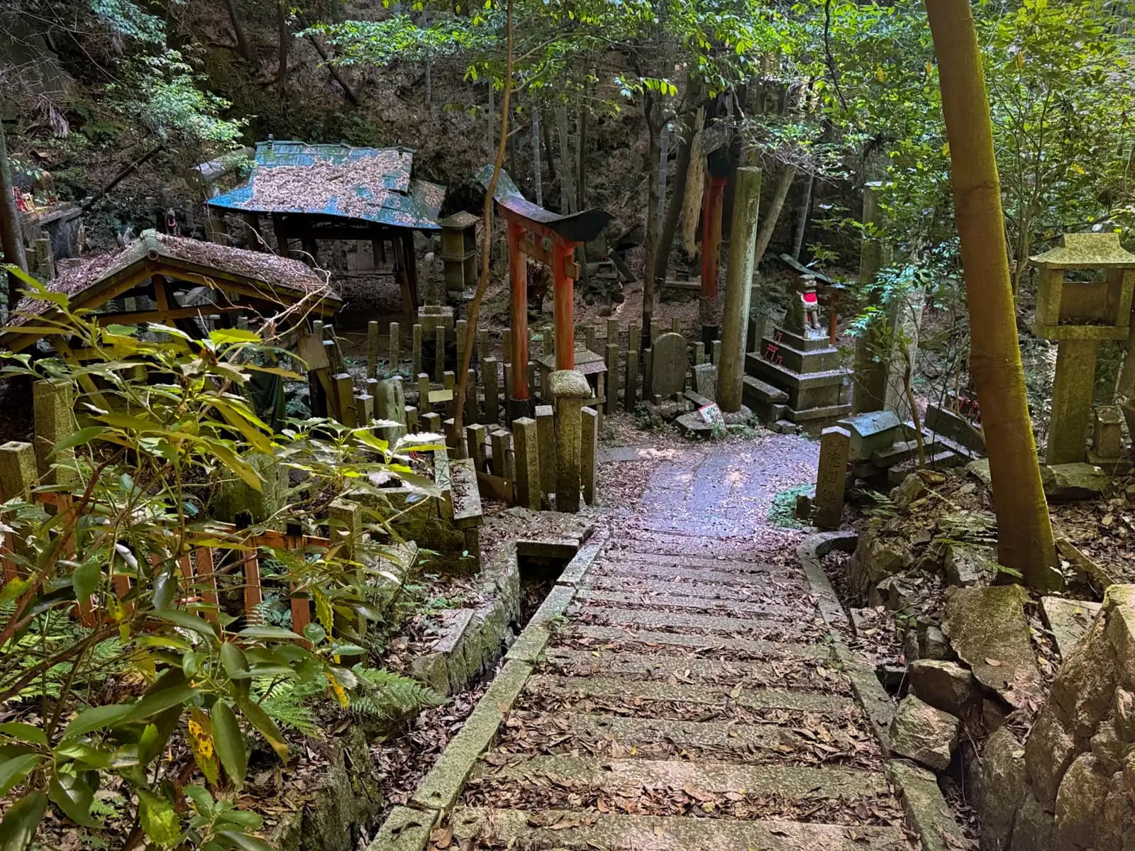 Oiwa Shrine | 大岩神社 photo 66