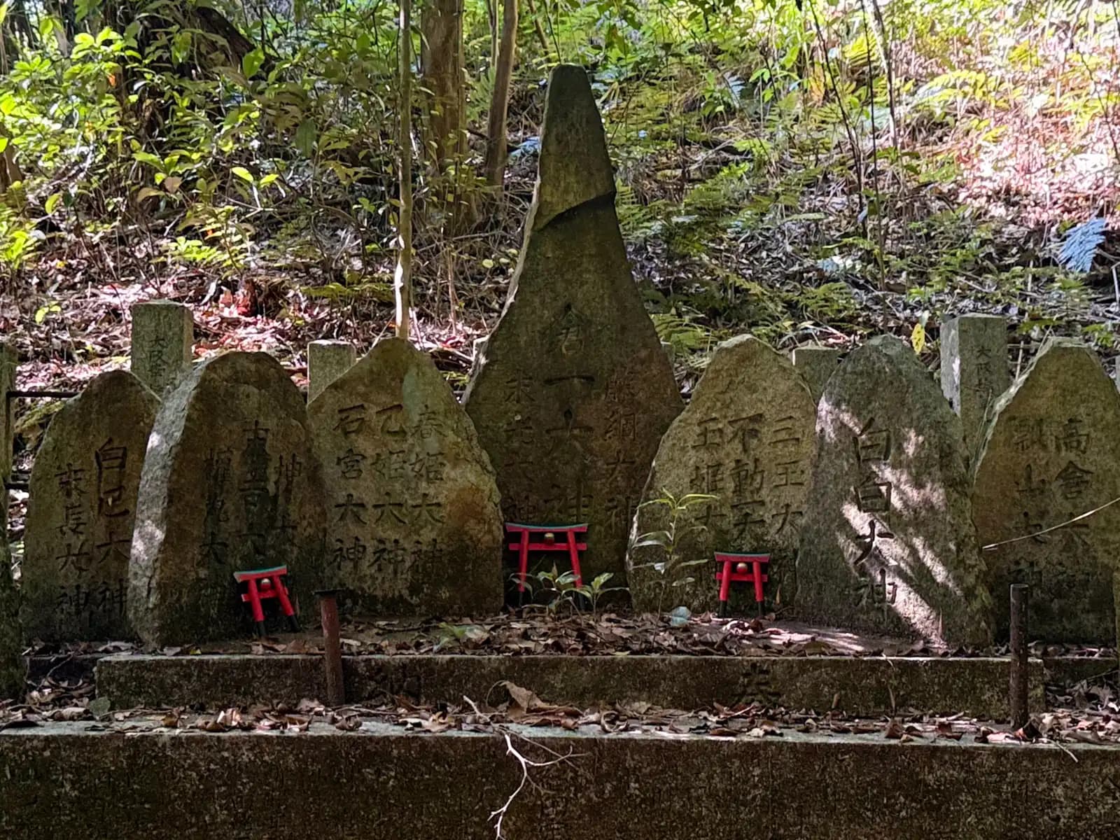 Oiwa Shrine | 大岩神社 photo 64