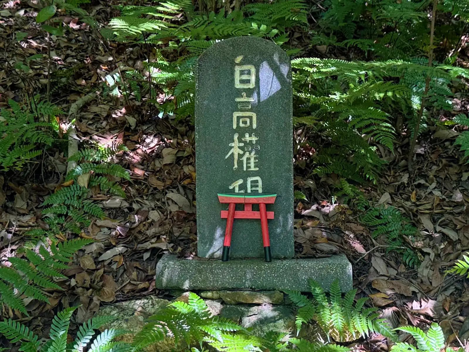 Oiwa Shrine | 大岩神社 photo 63