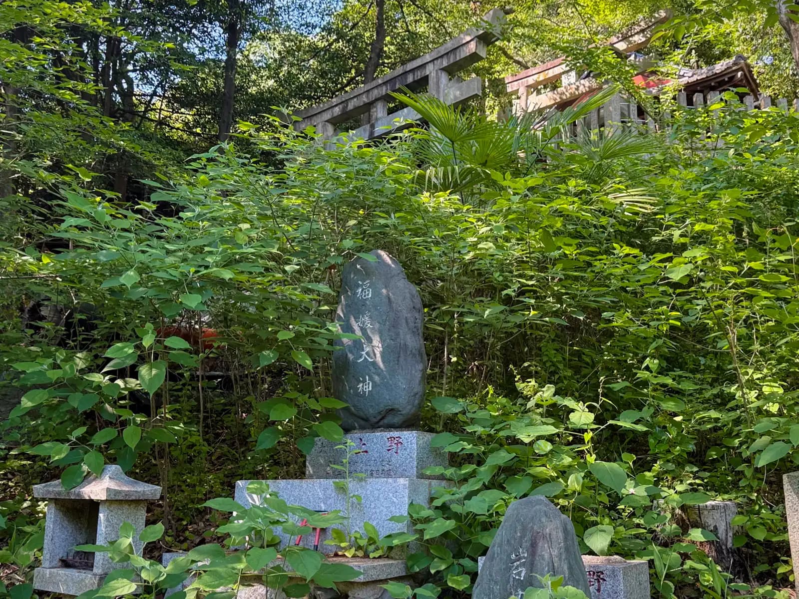 Oiwa Shrine | 大岩神社 photo 60