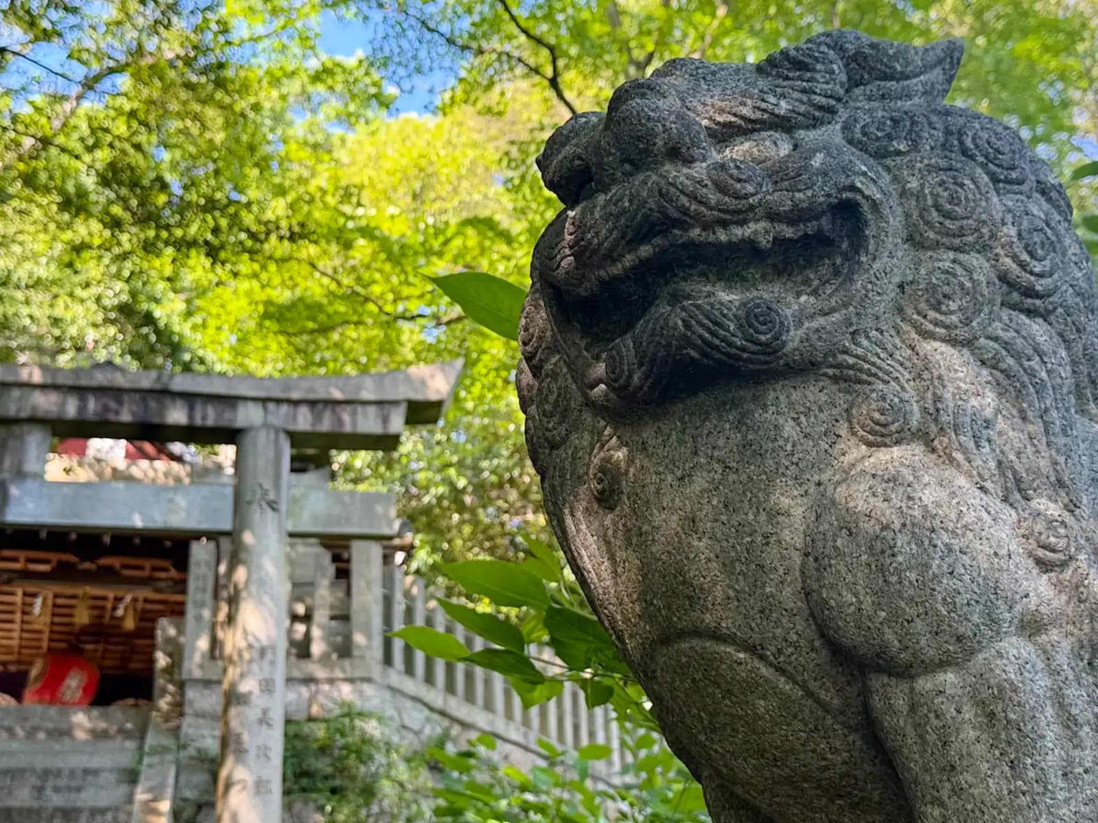 Oiwa Shrine | 大岩神社 photo 32