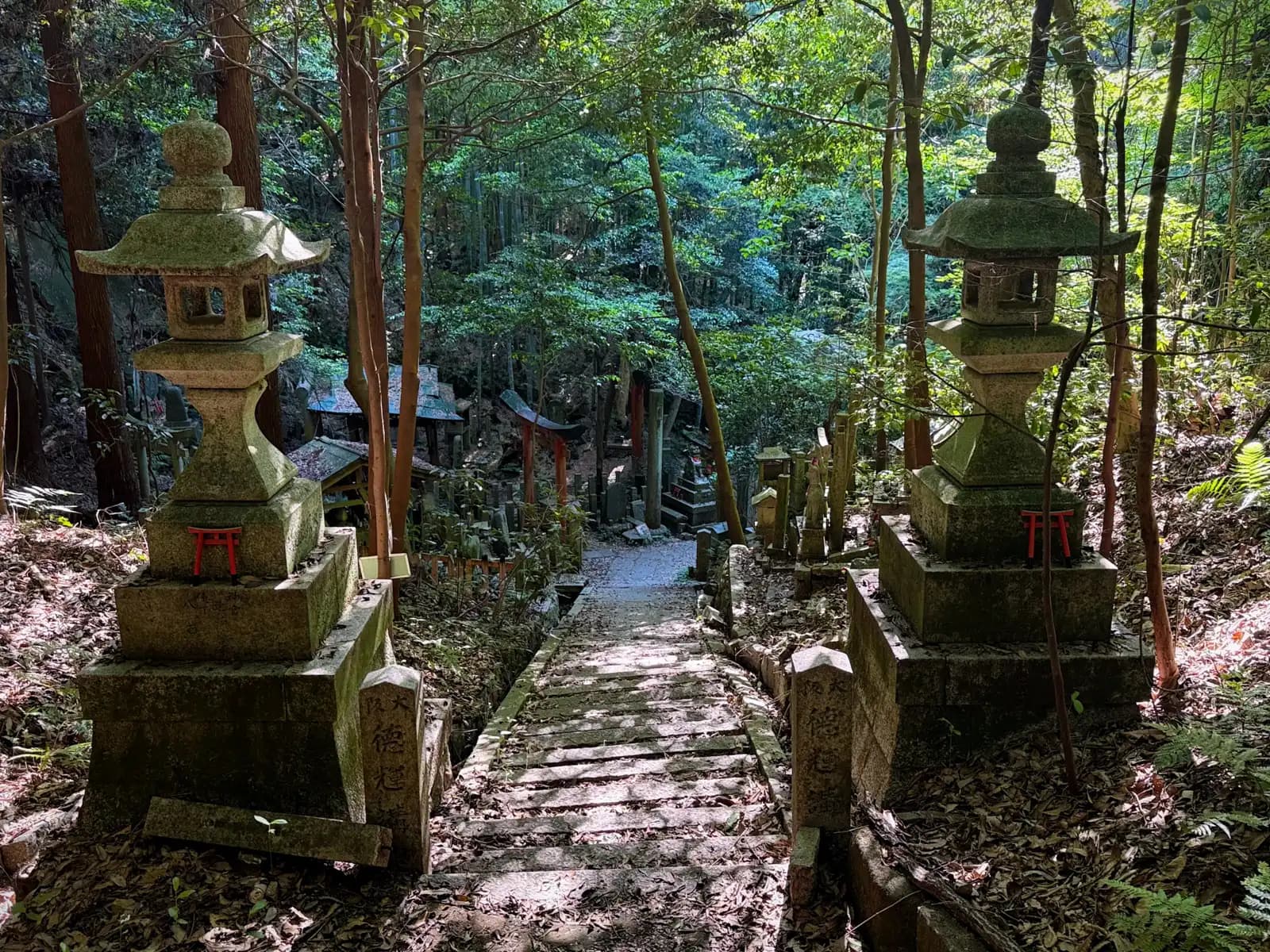 Oiwa Shrine | 大岩神社 photo 30