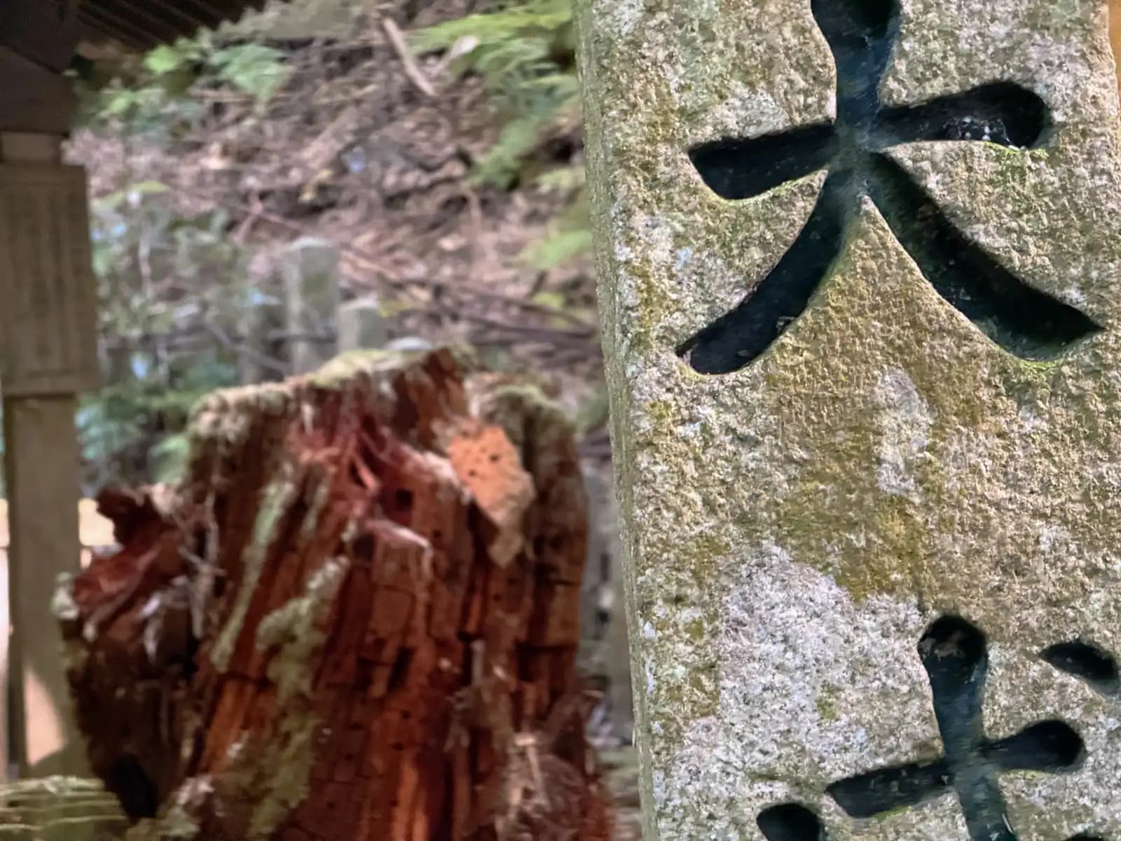 Oiwa Shrine | 大岩神社 photo 21