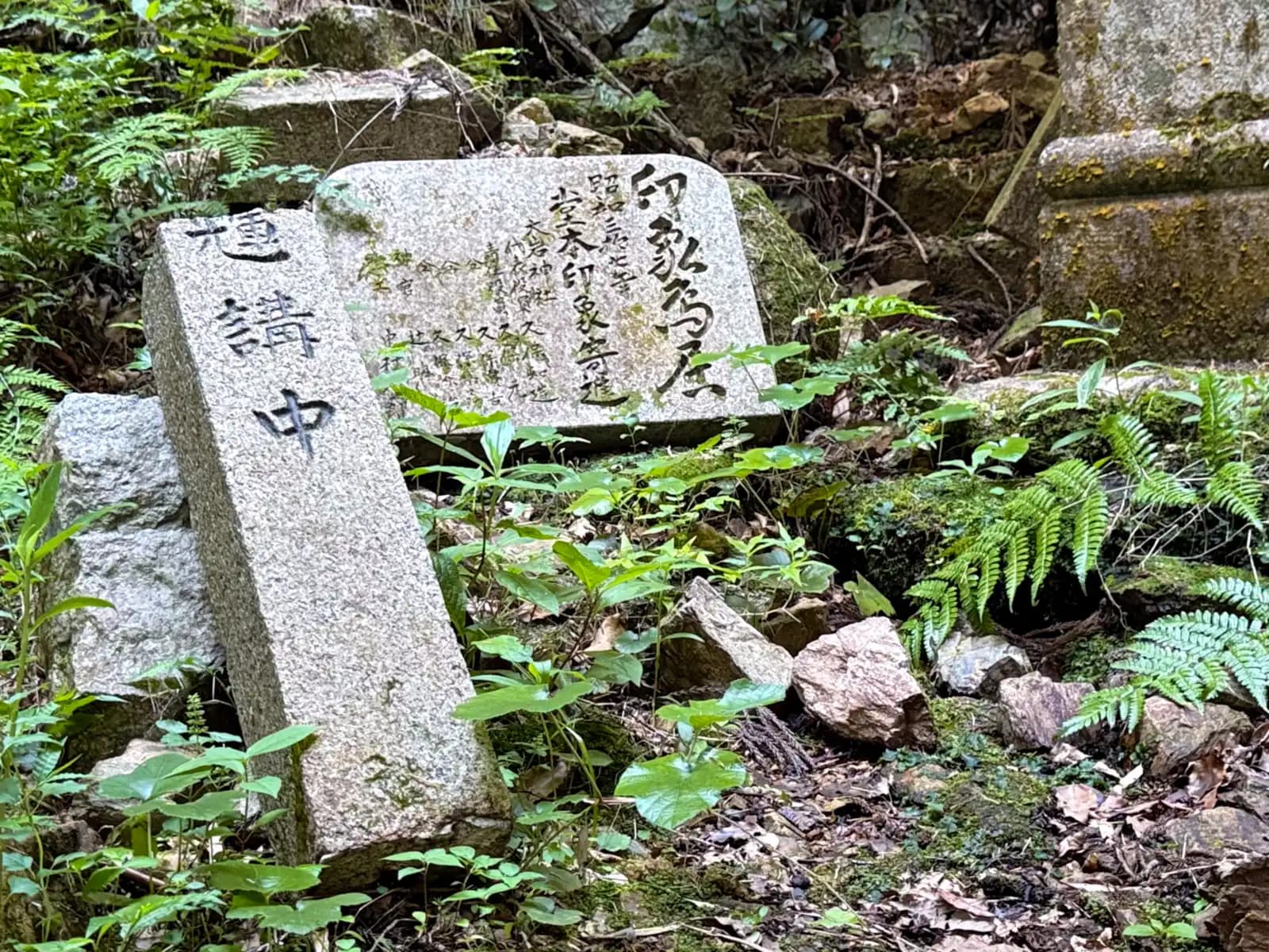 Oiwa Shrine | 大岩神社 photo 20