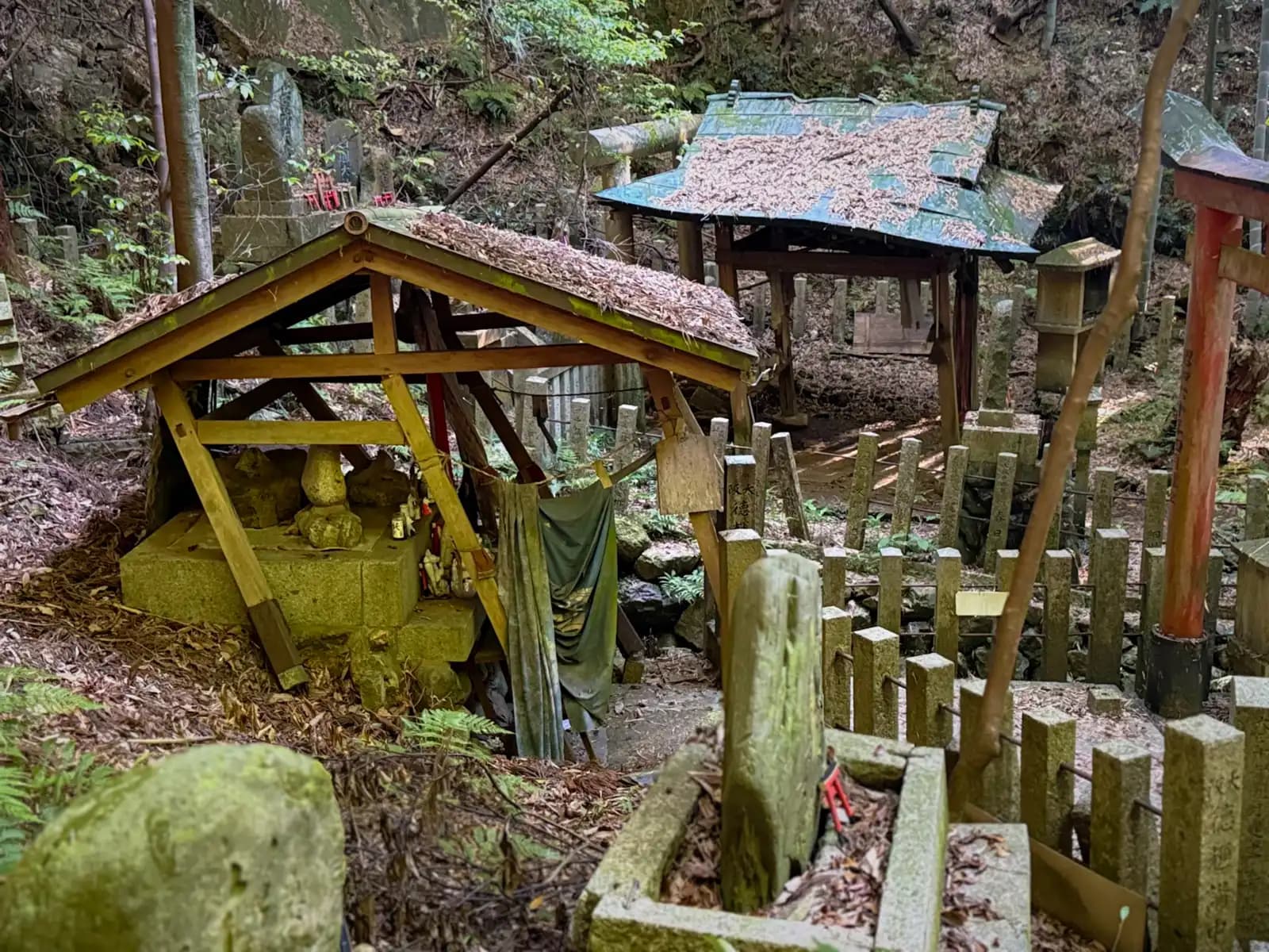 Oiwa Shrine | 大岩神社 photo 13