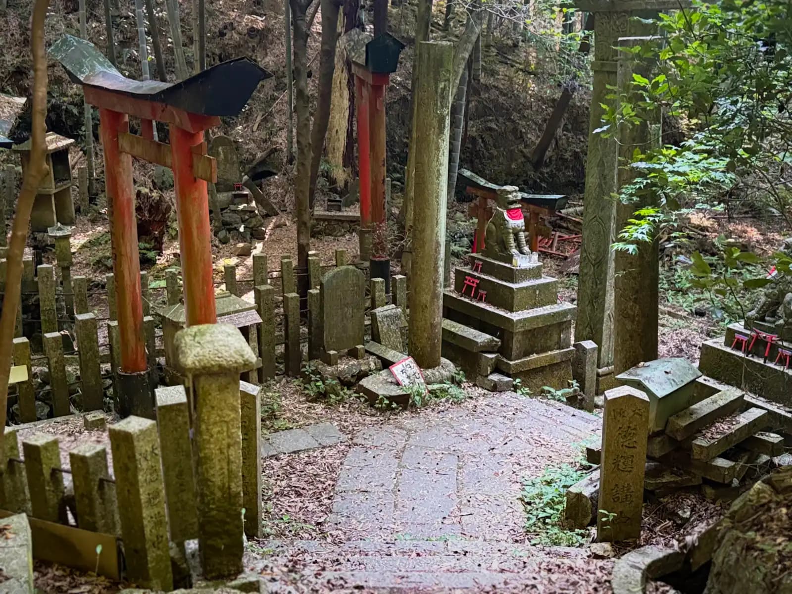 Oiwa Shrine | 大岩神社 photo 12
