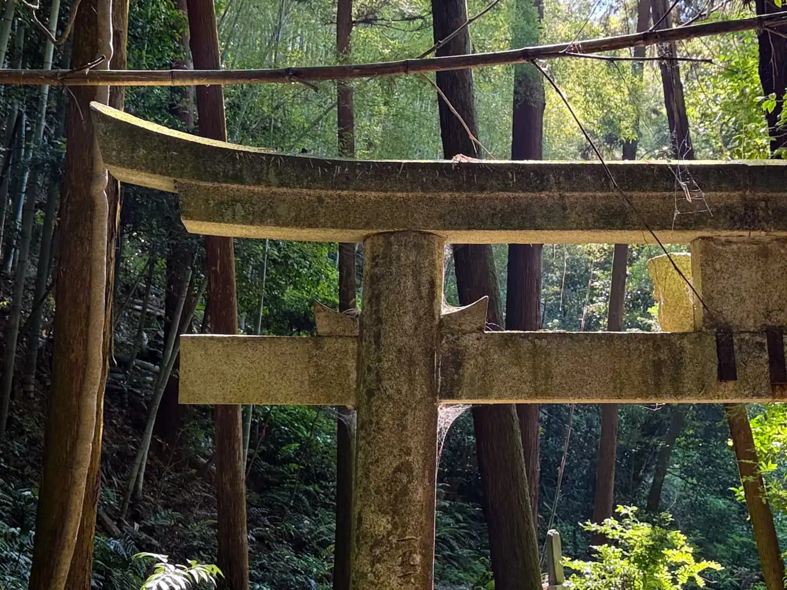 Oiwa Shrine | 大岩神社 photo 7
