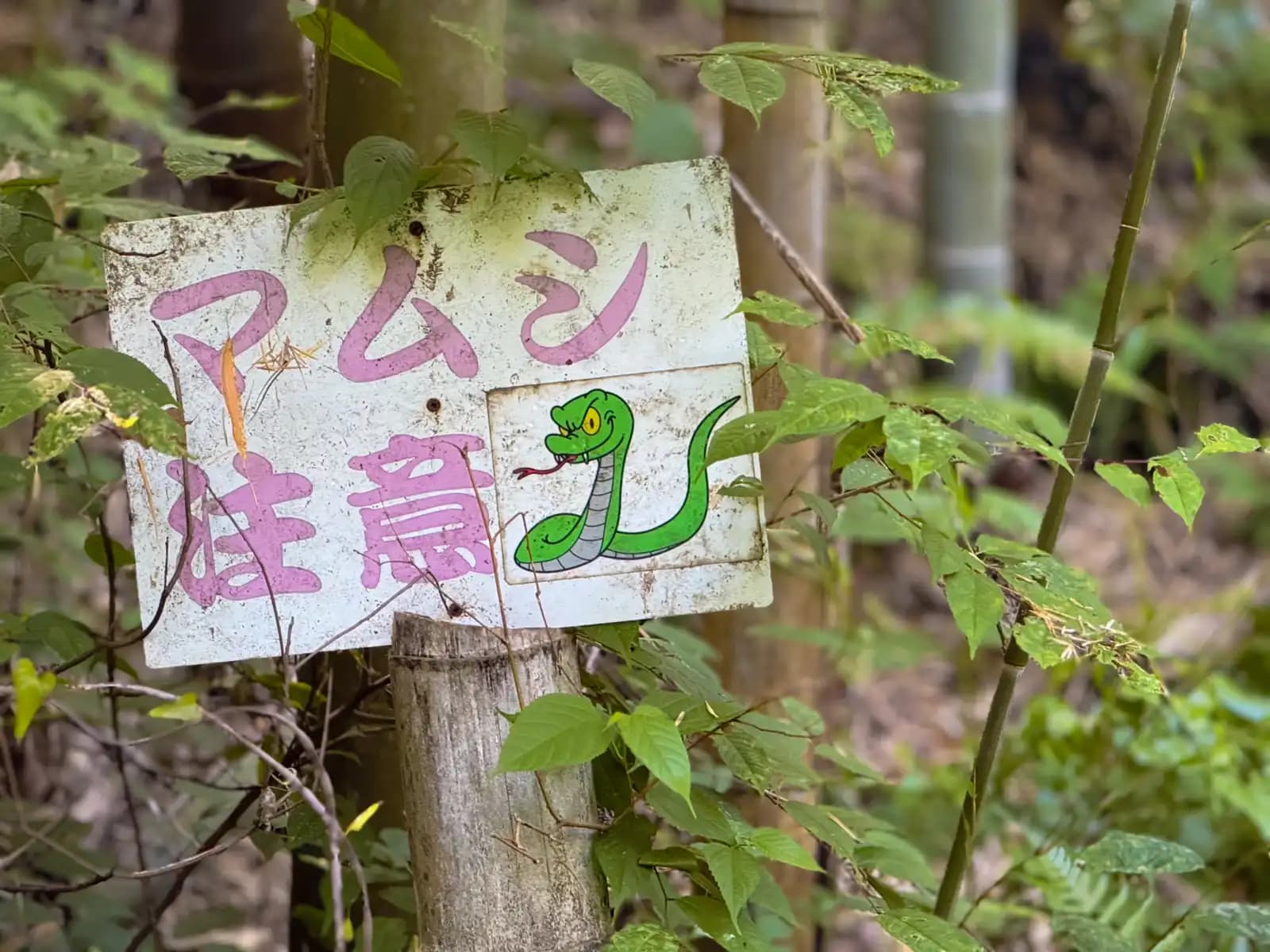 Oiwa Shrine | 大岩神社 photo 3