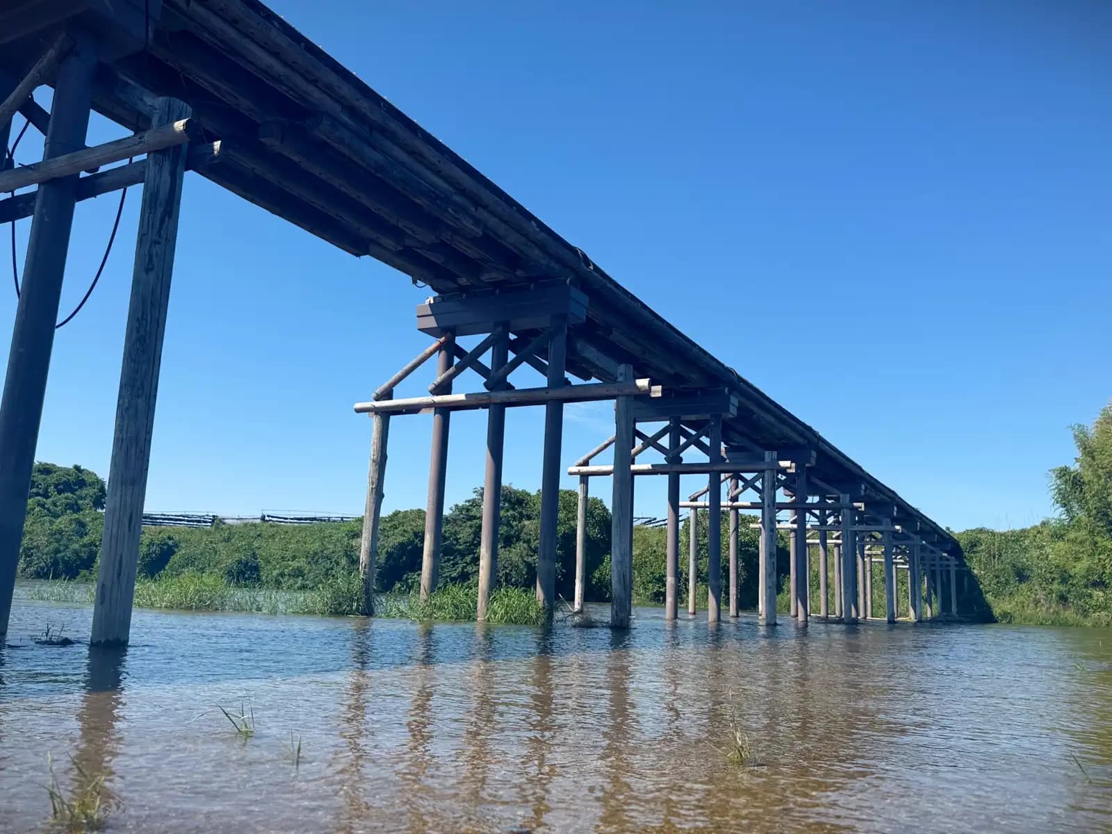 From water level, the bridge runs off toward the far bank on its rows of slender wooden legs.