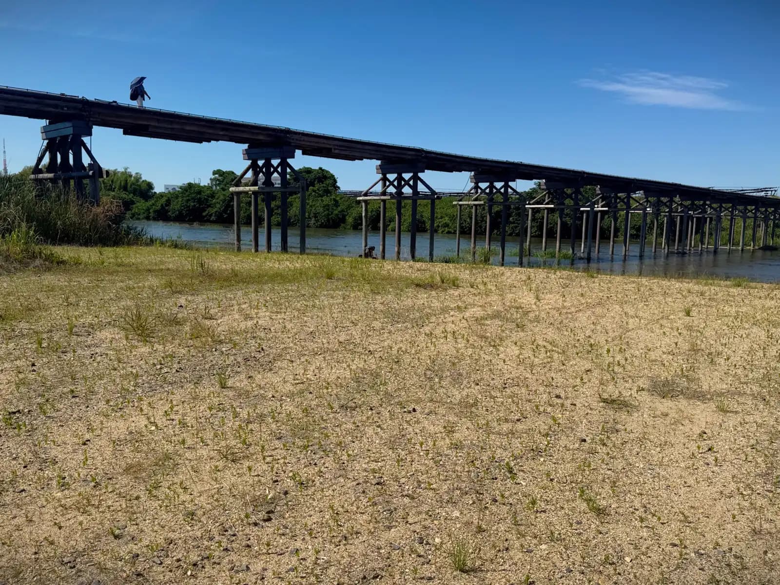 Seen from the gravel flats, a single parasol moves along the bridge above the low summer water.