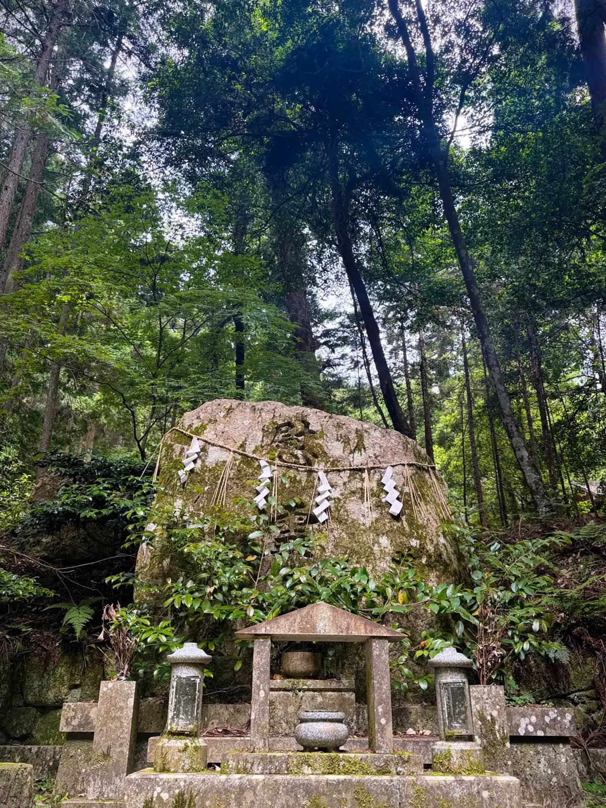 Below the roped boulder sits a small stone shrine flanked by a pair of stone lanterns and a stone offering vessel, tucked beneath towering cedars on the hillside.