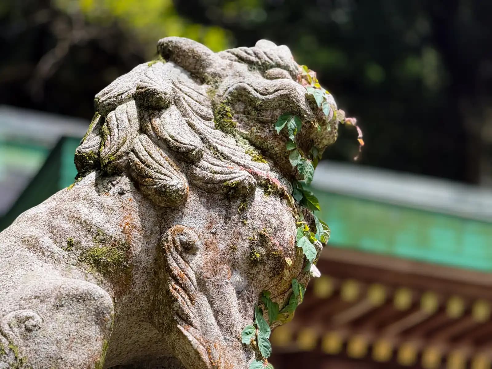 Close on a stone komainu's curled mane, softened by moss and a creeping vine, the copper-green shrine roof blurred behind.