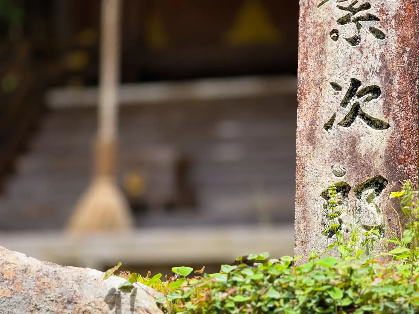 A donor's name carved into a stone pillar — moss packed into the strokes, clover at its foot — while the hall's bell-rope drifts out of focus behind.